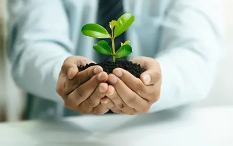 Nuovi Corsi GreenFor in avvio!